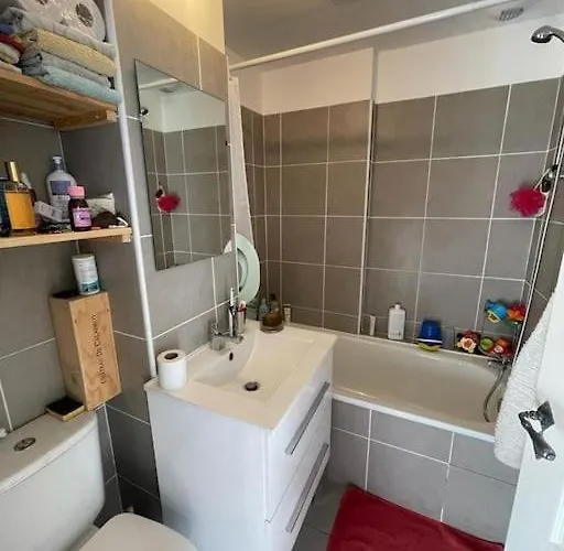 2 Pièces 30m2 Et Balcon Vue Montagne Saint Paul Wifi Location à La Semaine Du Samedi Au Samedi